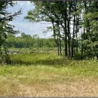 45 Acres in Oktibbeha County in Sturgis MS images 3