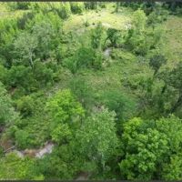 45 Acres in Oktibbeha County in Sturgis MS images 5