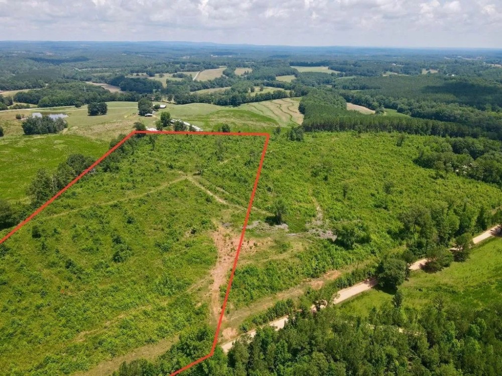 Tract 1- 16.5 - Ac Woodland featured image