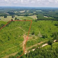 Tract 1- 16.5 - Ac Woodland