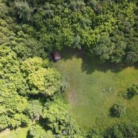 31 acres Recreational Land and Building Sites with Catskill Mountain Views in Rensselaerville NY images 5
