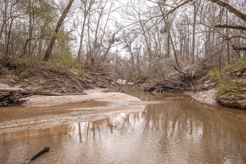 Hunting Timber and Sandy Creek featured image