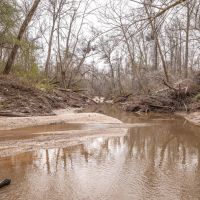 Hunting Timber and Sandy Creek