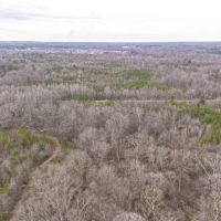 Hunting Timber and Sandy Creek images 2