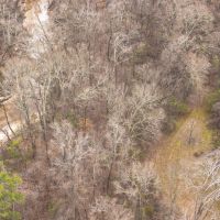 Hunting Timber and Sandy Creek images 5