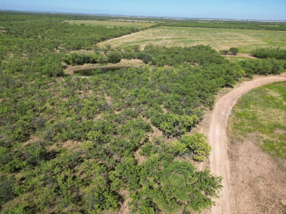New Listing 60 - Acres Callahan County featured image
