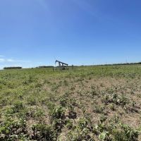 New Listing 60 - Acres Callahan County images 4