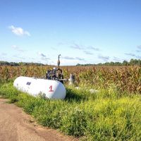 Fertile Ground In The LA Delta images 5