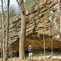 Ozark Bluff Top Paradise