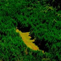 Wilcox Hunting Homeplace images 3