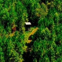 Wilcox Hunting Homeplace images 5