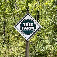 GA Highway 202 Estate Land images 2