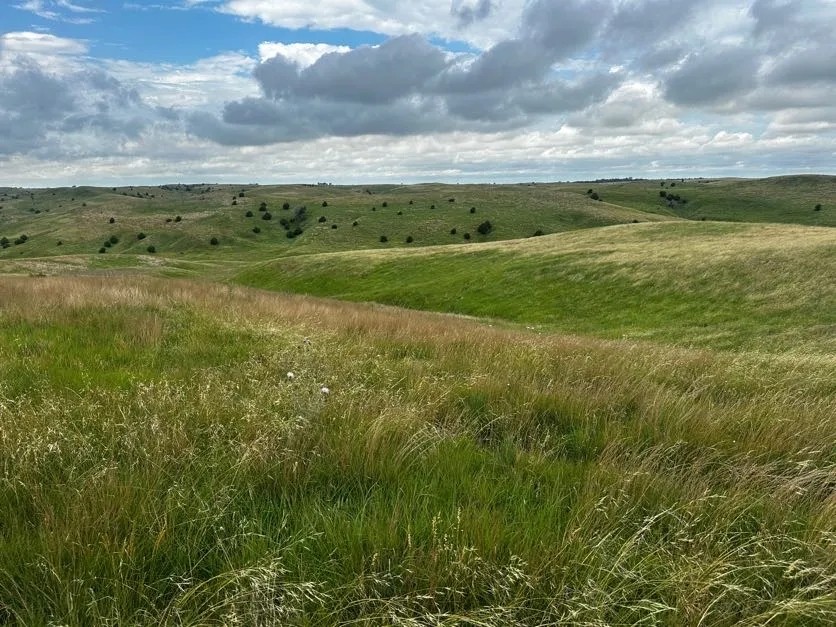 Byar Rangeland featured image