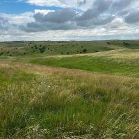 Byar Rangeland