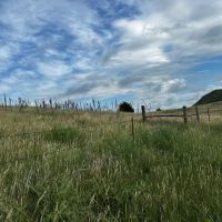 Byar Rangeland images 2