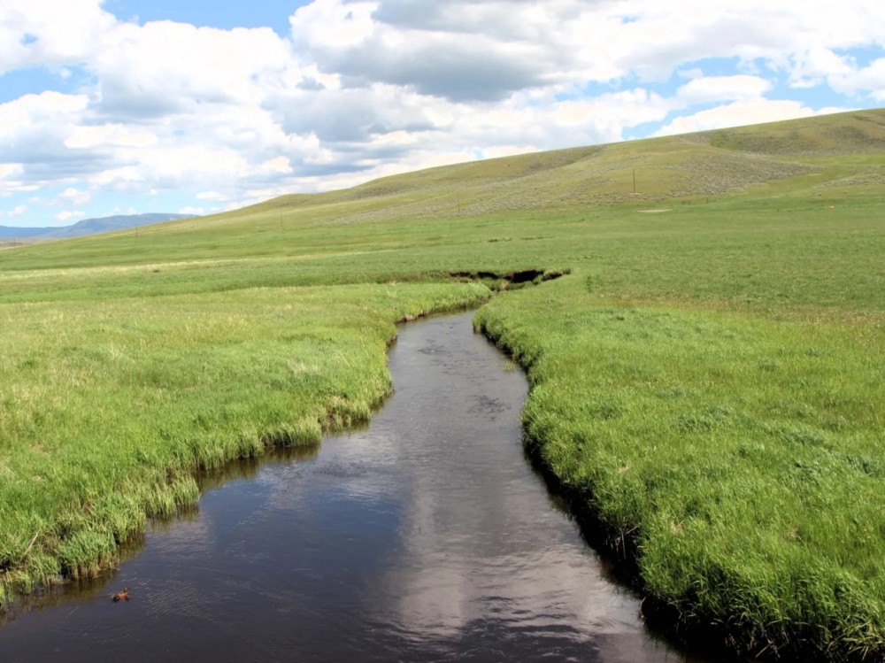 Sixteen Mile Creek Escape featured image