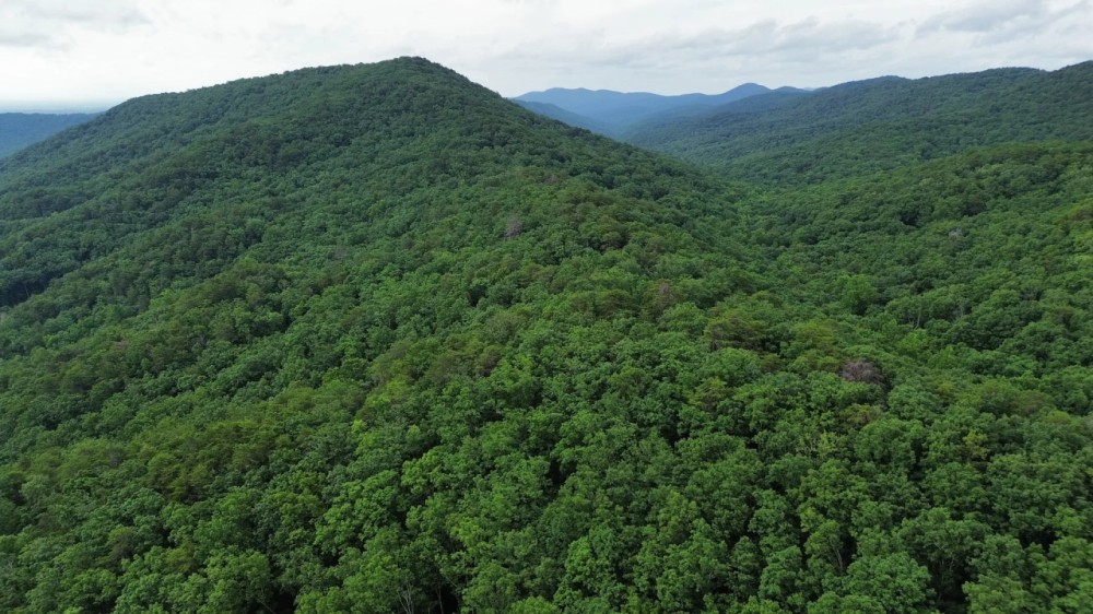 60 Acres in Whitfield County Georgia featured image