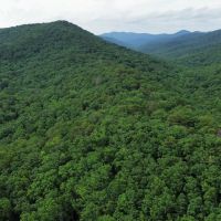 60 Acres in Whitfield County Georgia