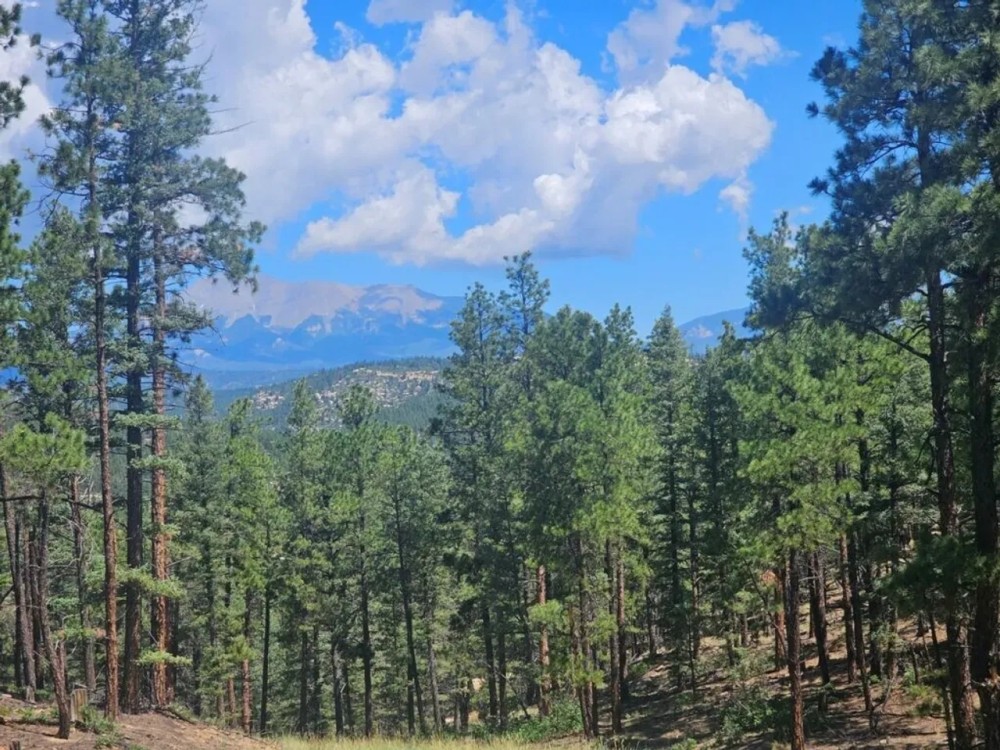 42C Rancho Escondido featured image