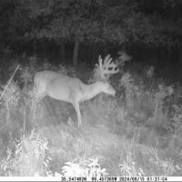Roger Mills 1182 images 3