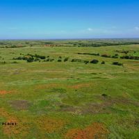 Roger Mills 1182 images 4