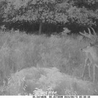 Roger Mills 1182 images 5
