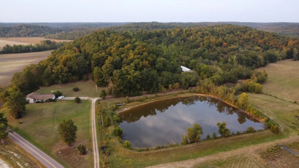 Farmhouse and 227 - Acres For Sale in Butler Co. featured image