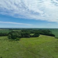 Acreage For Sale - 9.4 - Acres in Antelope County NE images 3