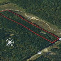 18.79 acre Hunting Recreational Land For Sale in Granville County NC images 3