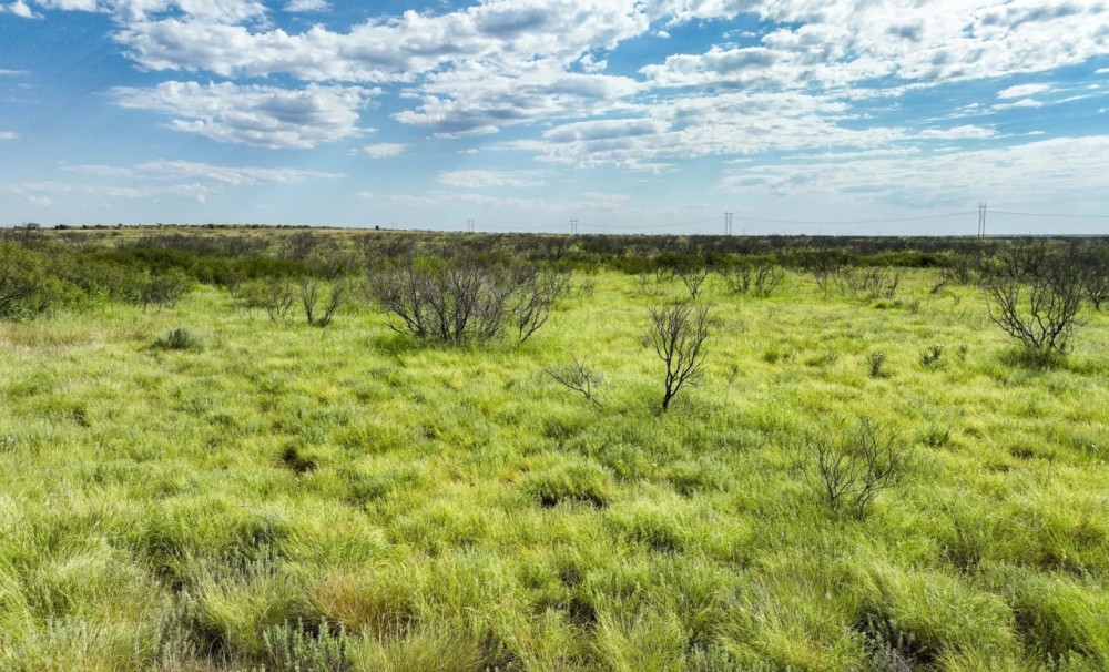 Whiteflat 320 Ranch featured image