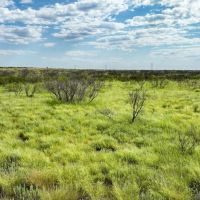 Whiteflat 320 Ranch