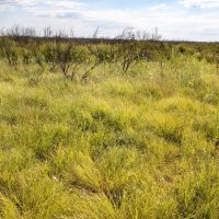 Whiteflat 320 Ranch images 5