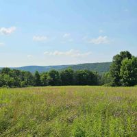 40 acres Farm Fields with Woods and Valley Views in Newfield NY Benjamin Hill Rd images 5