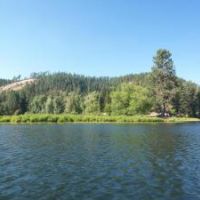 Coeur d’Alene River WMA - 5,799 acres for hunting Turkey in Benewah, ID
