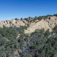 Regina Ranch West - 240 ac images 4