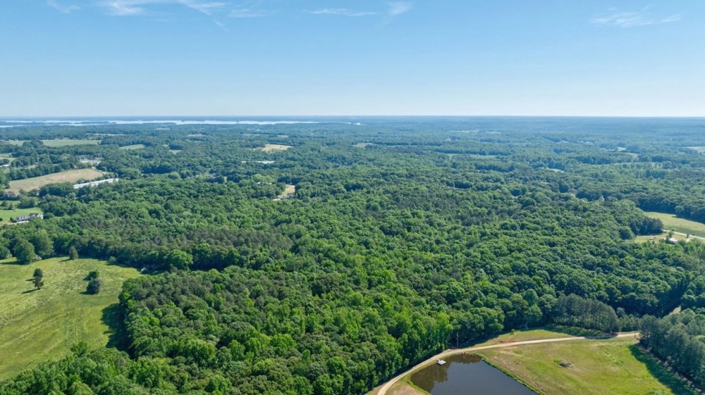 40 Acres of Timberland for Sale in Hartwell GA near Lake Hartwell featured image