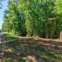 40 Acres of Timberland for Sale in Hartwell GA near Lake Hartwell images 3