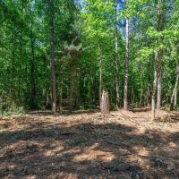 40 Acres of Timberland for Sale in Hartwell GA near Lake Hartwell images 4