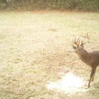 Wilkinson County Getaway on 48 - acres with a Pond images 2