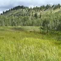 East Ridge Ranch images 4
