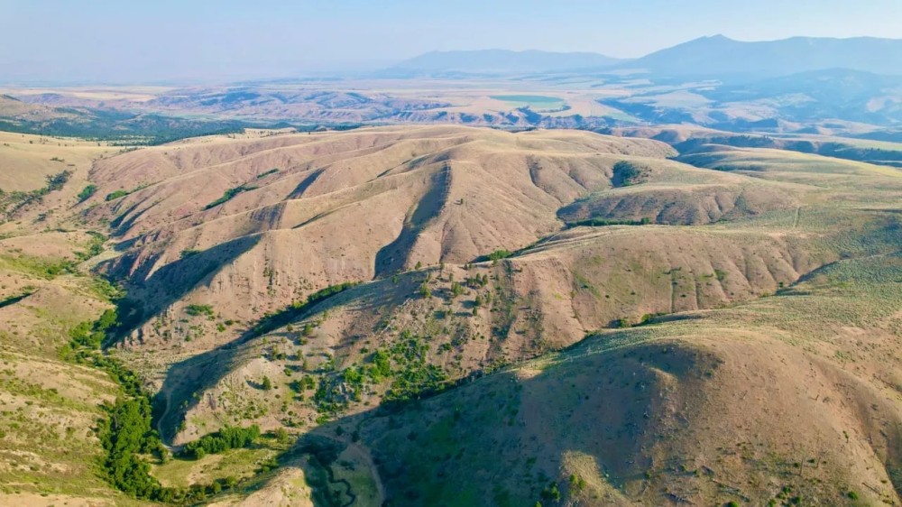 Sportsman s Hunting Retreat featured image