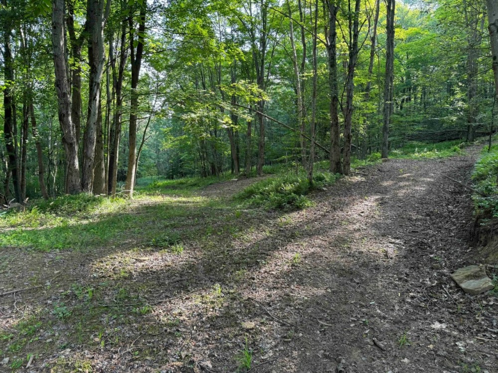 24 acres Hunting Land and Recreational Land with Building Lot in Clarksville NY Wolf Creek Rd featured image