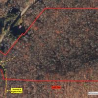24 acres Hunting Land and Recreational Land with Building Lot in Clarksville NY Wolf Creek Rd images 2