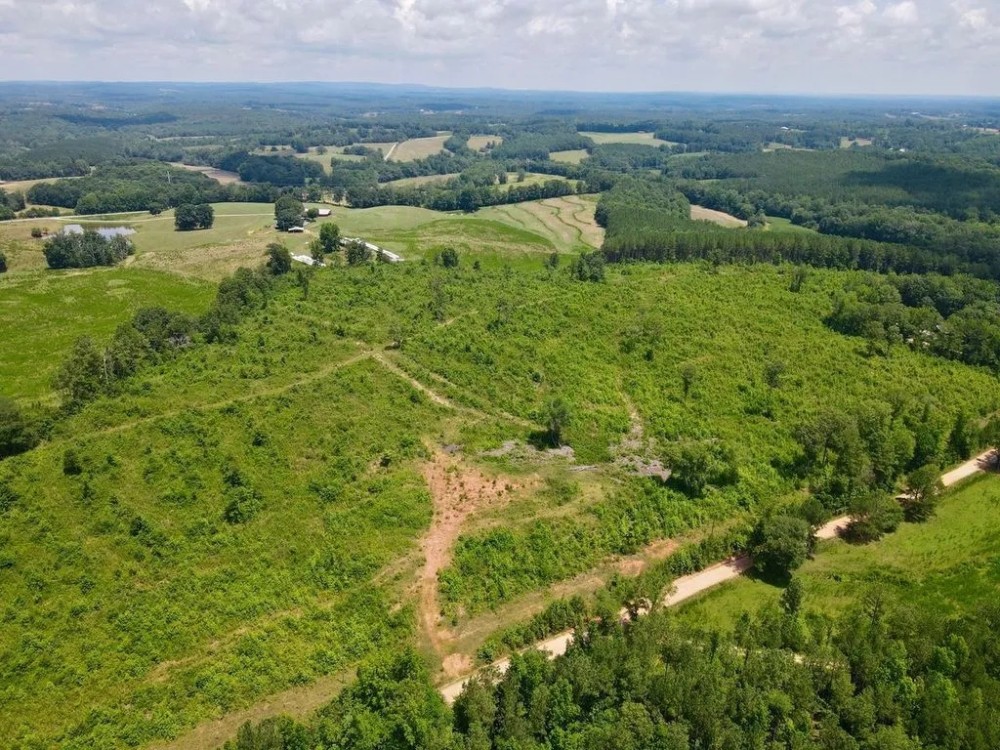 33 - Acres Woodland featured image