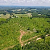 33 - Acres Woodland