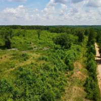33 - Acres Woodland images 2