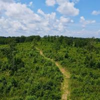 33 - Acres Woodland images 3