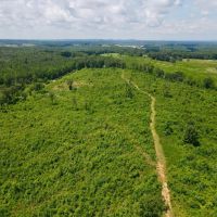 33 - Acres Woodland images 4