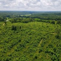 33 - Acres Woodland images 5