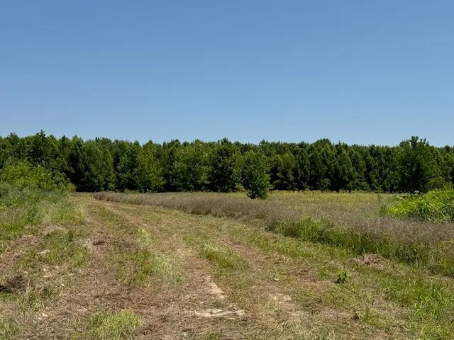 LA - Richland 80 acres - featured image